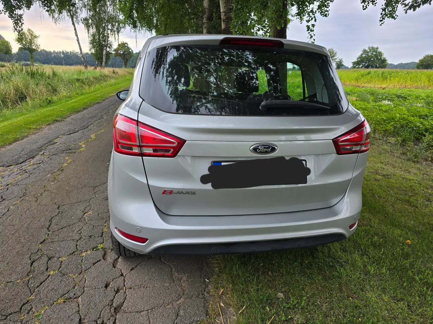 Ford B-Max 1.6 Aut. Trend Silber - 2