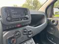 Fiat Panda 1.0 firefly hybrid s&s 70cv 5p.ti Ex Aziendale - thumbnail 12