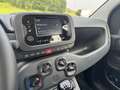 Fiat Panda 1.0 firefly hybrid s&s 70cv 5p.ti Ex Aziendale - thumbnail 10