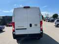 Fiat Ducato Maxi L2H2 140 M - Laderaumverkleidung Weiß - thumbnail 7