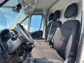 Fiat Ducato Maxi L2H2 140 M - Laderaumverkleidung Weiß - thumbnail 9