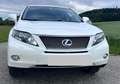 Lexus RX 450h RX 450H 4WD Hybrid Weiß - thumbnail 5