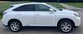 Lexus RX 450h RX 450H 4WD Hybrid Weiß - thumbnail 4