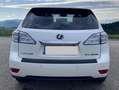 Lexus RX 450h RX 450H 4WD Hybrid Weiß - thumbnail 3
