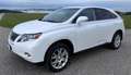 Lexus RX 450h RX 450H 4WD Hybrid Weiß - thumbnail 1