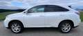 Lexus RX 450h RX 450H 4WD Hybrid Weiß - thumbnail 2
