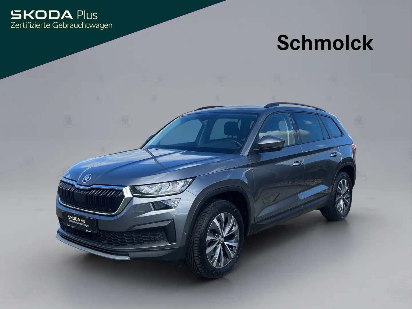 Skoda Kodiaq Ambition 2.0 TDI DSG ACC NAVI LED DAB RFK Grau - 1