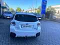 Subaru XV XV 2.0D Style - Con gancio traino Alb - thumbnail 6