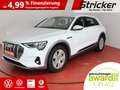 Audi e-tron 55 quattro 350,-ohne Anzahlung AHK Matrix Weiß - thumbnail 2