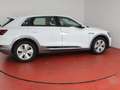 Audi e-tron 55 quattro 350,-ohne Anzahlung AHK Matrix Weiß - thumbnail 30