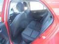 Kia Picanto 1.0 Dream-Team Edition Rot - thumbnail 8