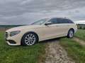 Mercedes-Benz E 200 E 200 d T 9G-TRONIC Gelb - thumbnail 6