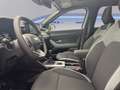 Dacia Bigster 1.2 TCe 130 CV MHEV 4x4 Extreme Grau - thumbnail 8