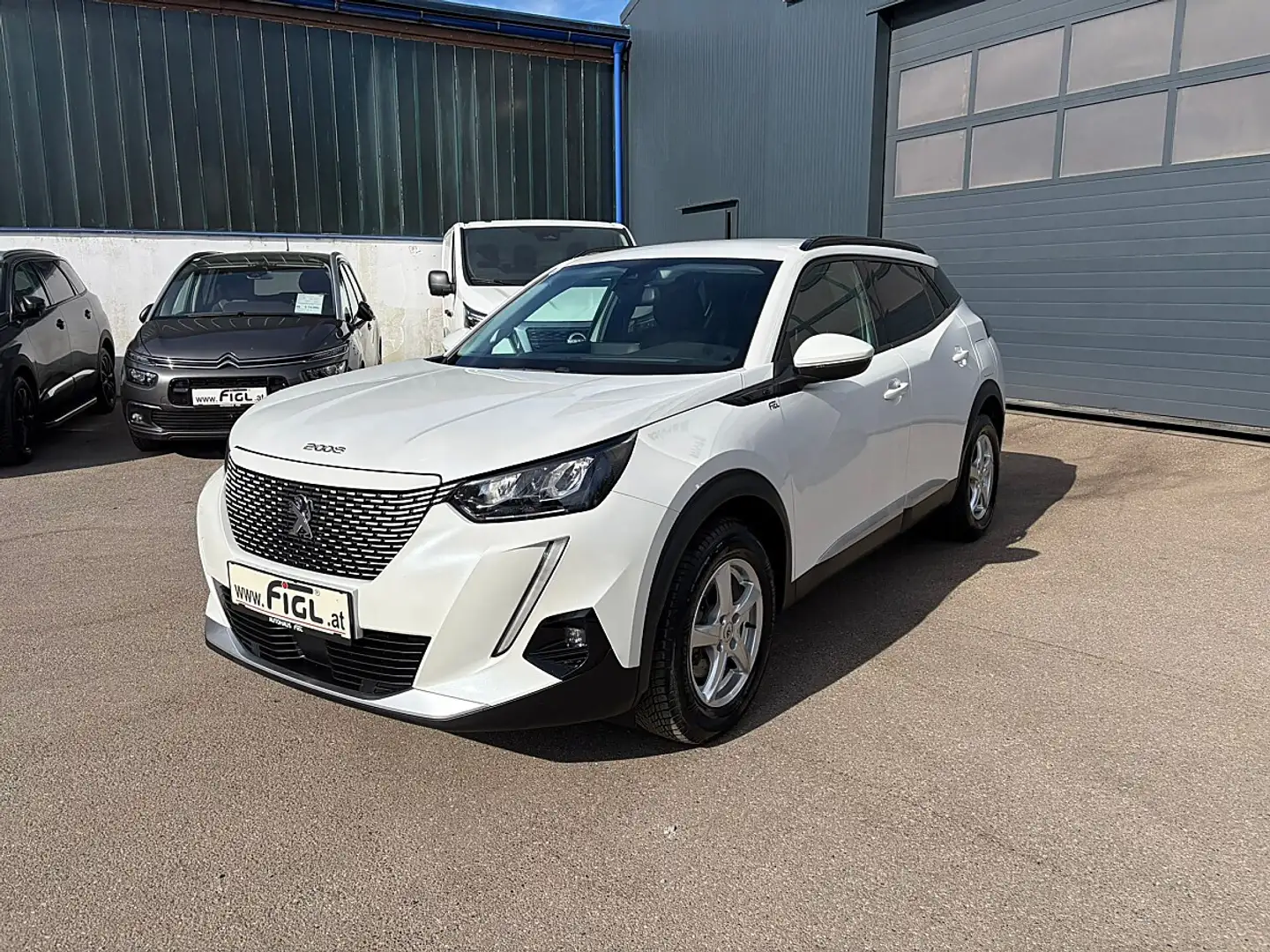 Peugeot e-2008 50kWh Allure Weiß - 2