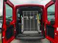 Ford Transit 350 L3 Trend mit Rampe Rojo - thumbnail 5