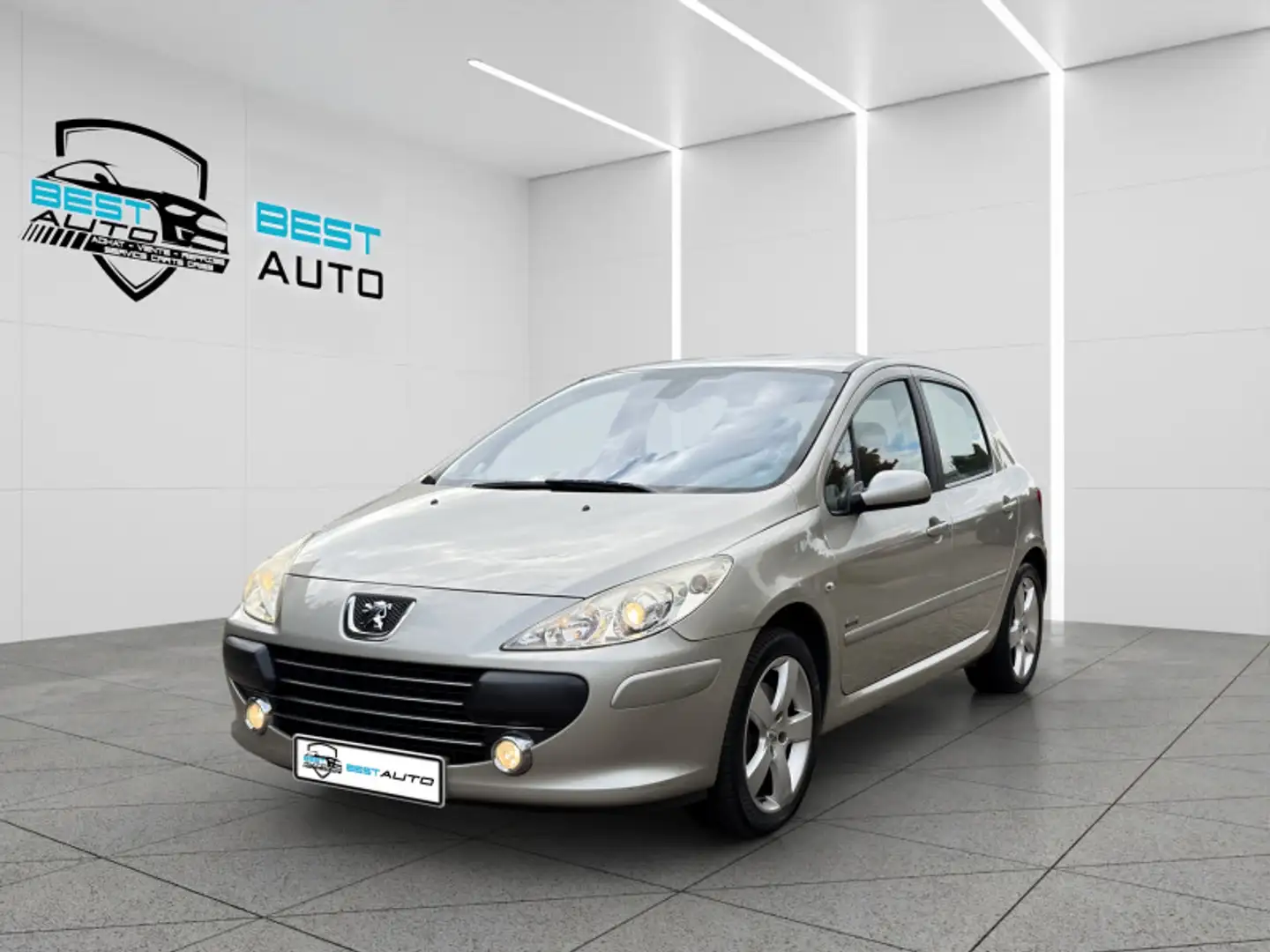 Peugeot 307 2.0 HDI136 NAVTEQ BAA FAP 5P - 1