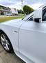 Audi A5 SB 2,0 TDI Sport Weiß - thumbnail 8
