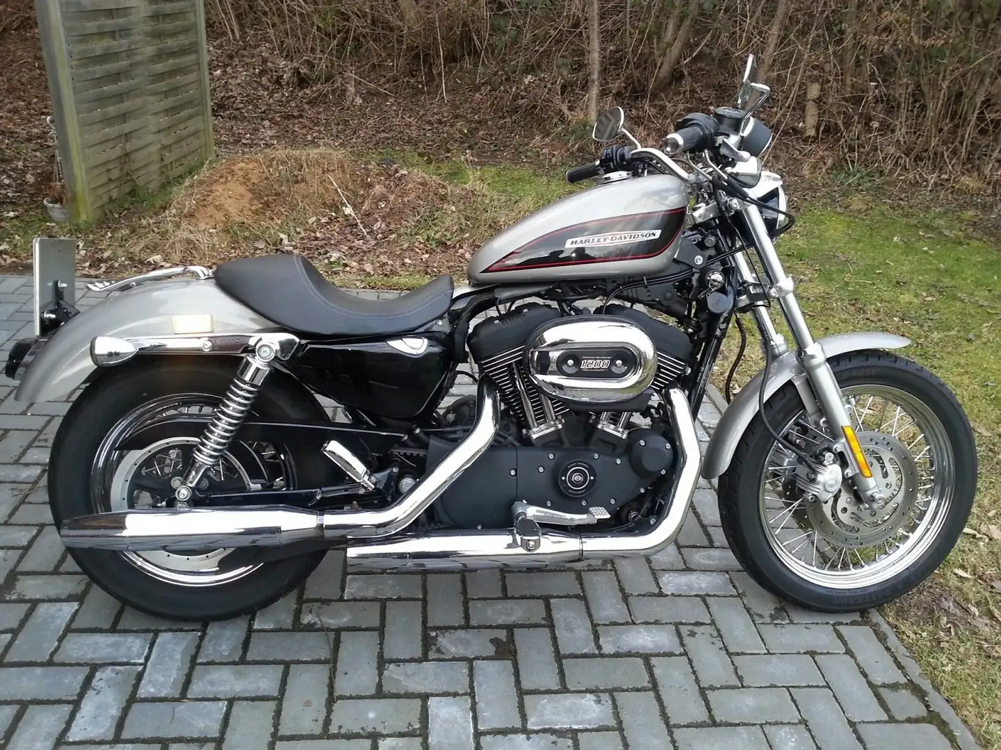 Harley-Davidson XL 1200 Roadster Stříbrná - 1
