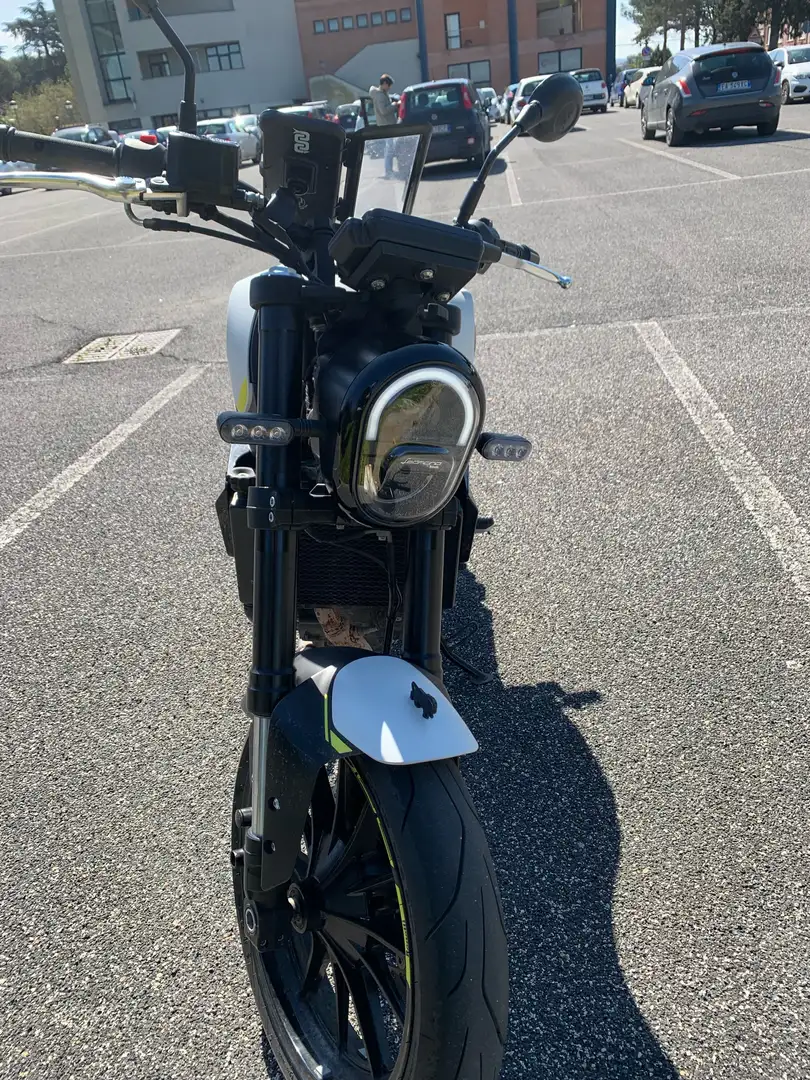 Benelli Leoncino - 1