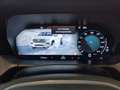 Volkswagen Amarok 3.0 TDI Automatik 4MOTION PanAmericana DC Grau - thumbnail 14