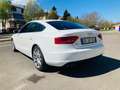 Audi A5 Sportback 2.0 tdi S-Line  143cv multitronic Bianco - thumbnail 3