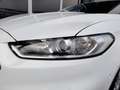 Ford Mondeo Turnier 2,0 EcoBlue Aut. *LED & FLA / NAVI / AH... Weiß - thumbnail 15