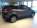 Ford Kuga Kuga 1,6 EcoBoost Titanium 4x4 Titanium Gris - thumbnail 9