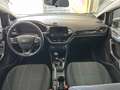 Ford Fiesta 3p 1.5 tdci Titanium 85cv TOP!!!! EURO 6!!!! - thumbnail 12