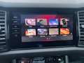 Skoda Kodiaq RS 4x4 Grau - thumbnail 28