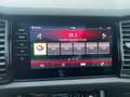 Skoda Kodiaq RS 4x4 Grau - thumbnail 29