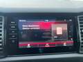Skoda Kodiaq RS 4x4 Grau - thumbnail 30