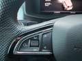Skoda Kodiaq RS 4x4 Grau - thumbnail 23
