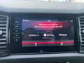 Skoda Kodiaq RS 4x4 Grau - thumbnail 32