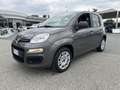 Fiat Panda Panda 1.2 EasyPower Easy Grigio - thumbnail 3