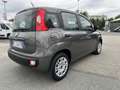 Fiat Panda Panda 1.2 EasyPower Easy Grigio - thumbnail 7
