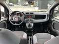 Fiat Panda Panda 1.2 EasyPower Easy Grigio - thumbnail 12