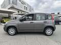 Fiat Panda Panda 1.2 EasyPower Easy Grigio - thumbnail 4