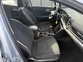 Kia Sportage 1.6 tgdi mhev Business mt Vettura Ufficiale Kia Plateado - thumbnail 6