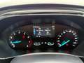 Ford Focus Focus V 2022 1.0t ecoboost h ST-Line 125cv Blu/Azzurro - thumbnail 12