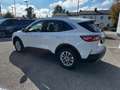 Ford Kuga Hybrid Titanium X Weiß - thumbnail 3