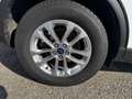 Ford Kuga Hybrid Titanium X Weiß - thumbnail 5