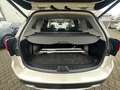 Subaru Forester Platinum / H&K / PANORAMA / AHK / LED Weiß - thumbnail 4