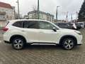 Subaru Forester Platinum / H&K / PANORAMA / AHK / LED Weiß - thumbnail 21