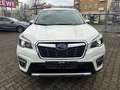 Subaru Forester Platinum / H&K / PANORAMA / AHK / LED Weiß - thumbnail 19