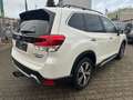 Subaru Forester Platinum / H&K / PANORAMA / AHK / LED Weiß - thumbnail 9