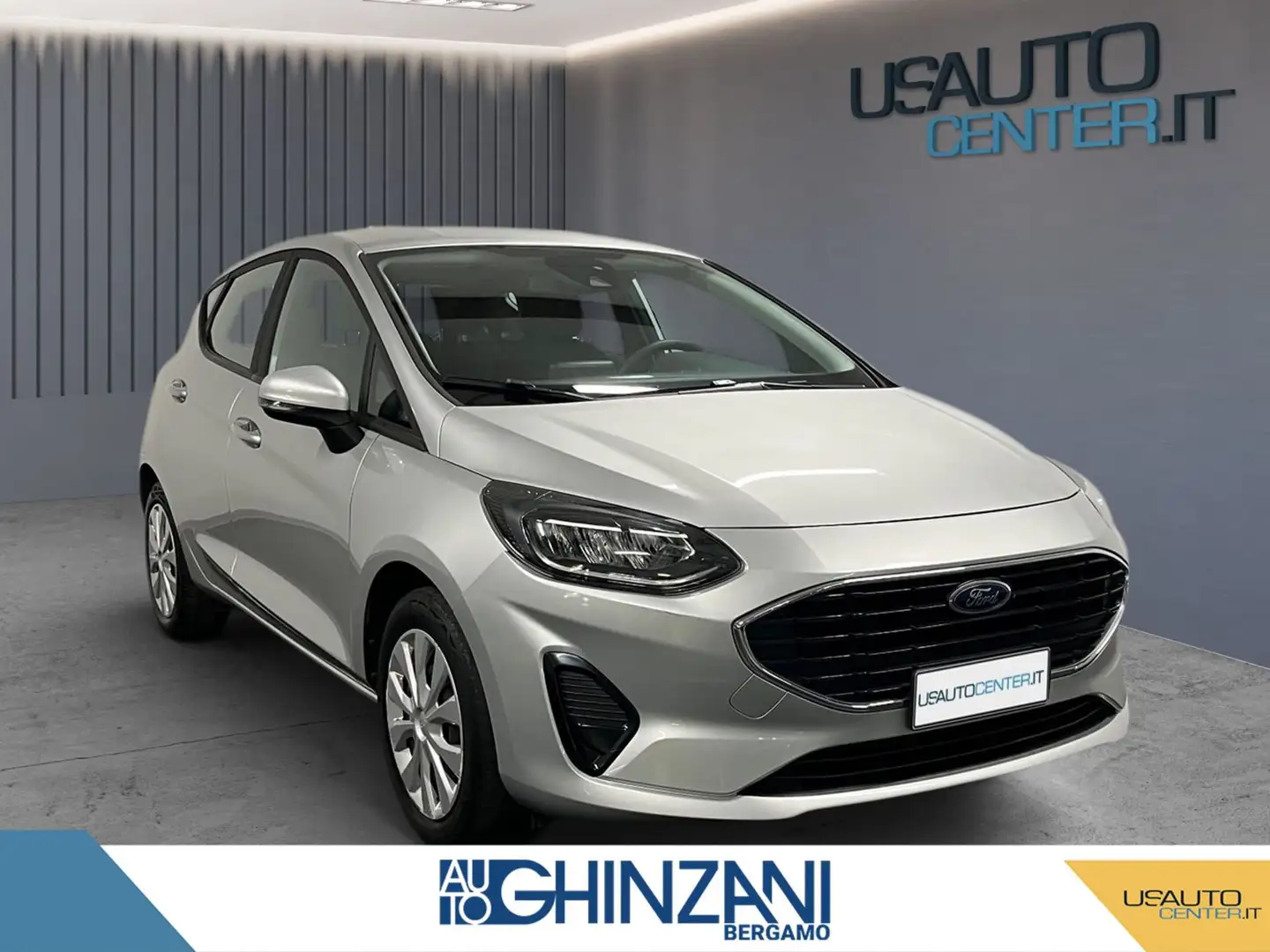 Ford Fiesta Fiesta 1.1 75 CV 5 porte Plus Gris - 2