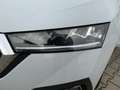 Skoda Octavia Combi 2.0 TDI DSG STYLE LED+ACC+AHK+NAVI Weiß - thumbnail 20