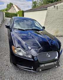 4.2 V8 - 416 Suralimenté SV8 A