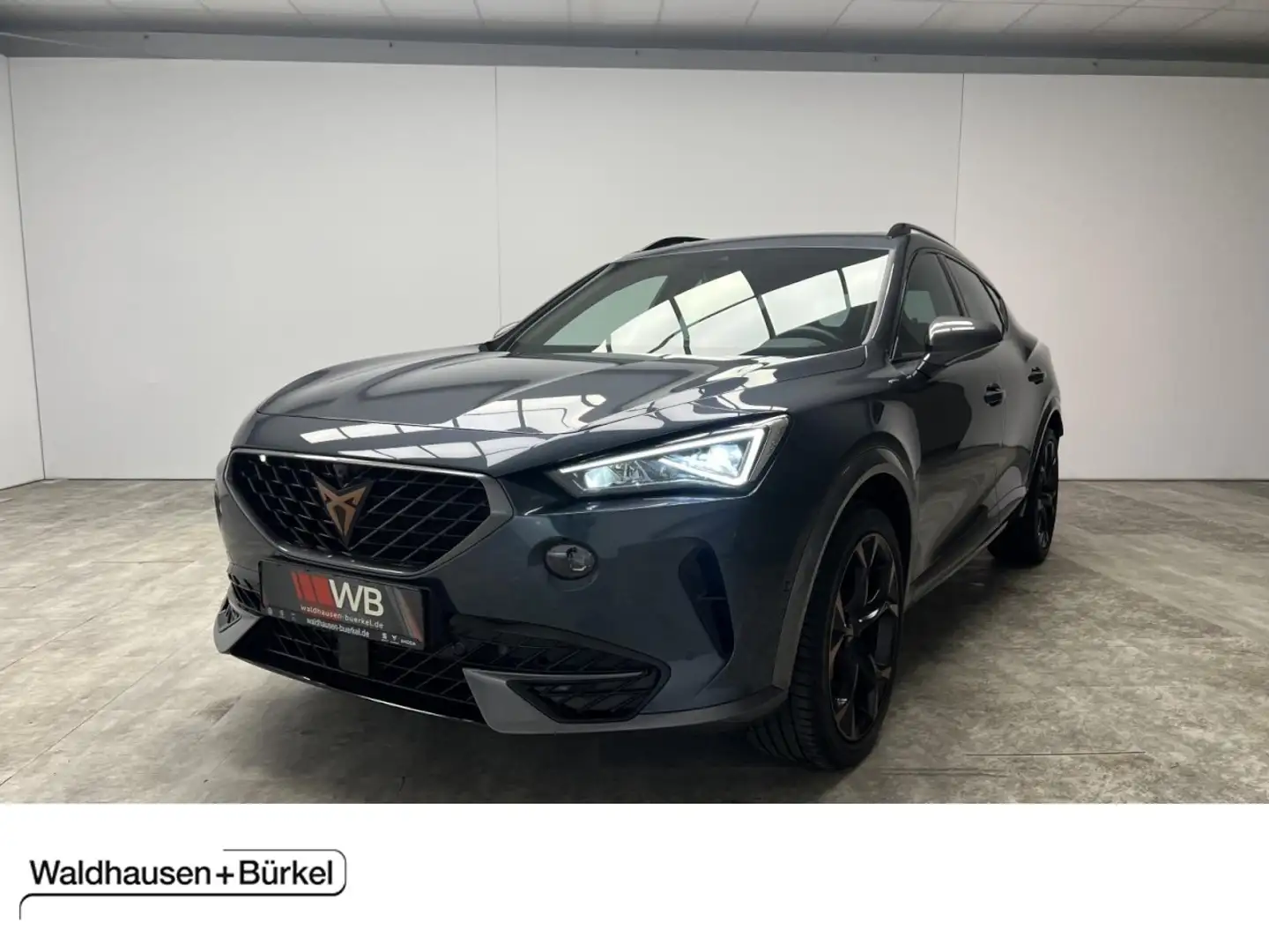 CUPRA Formentor VZ 2.0 TSI DSG 4Drive Panorama Klima Navi Leder Grau - 1