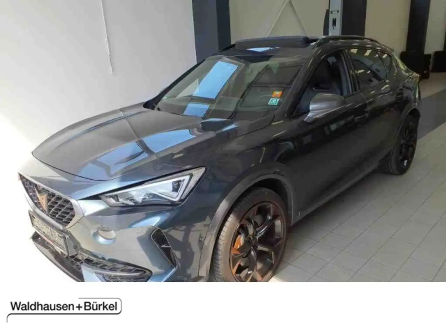 CUPRA Formentor VZ 2.0 TSI DSG 4Drive Panorama Klima Navi Leder - 1